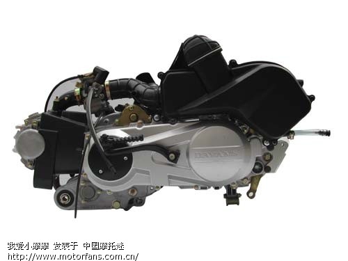 生的小羊跑跑DY100T-8 - 踏板论坛 - 摩托车论