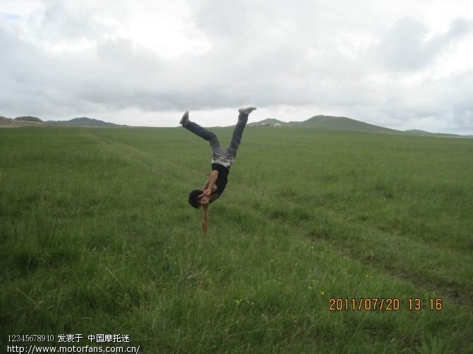 给大家看看内蒙草原吧抒发心情啊就草多这回图