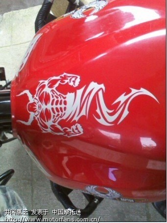 摩托车贴纸 - 摩托车论坛 - 大地鹰王 - 摩托车论