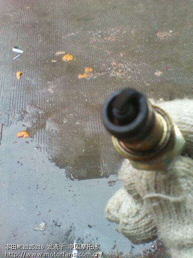 大伙来看看我车车的火花塞燃烧得如何 - 广东摩