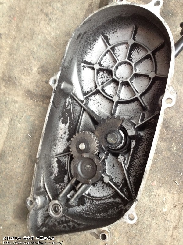 金城蛋蛋 49CC,双闪开光成功,闪光器顺利工作