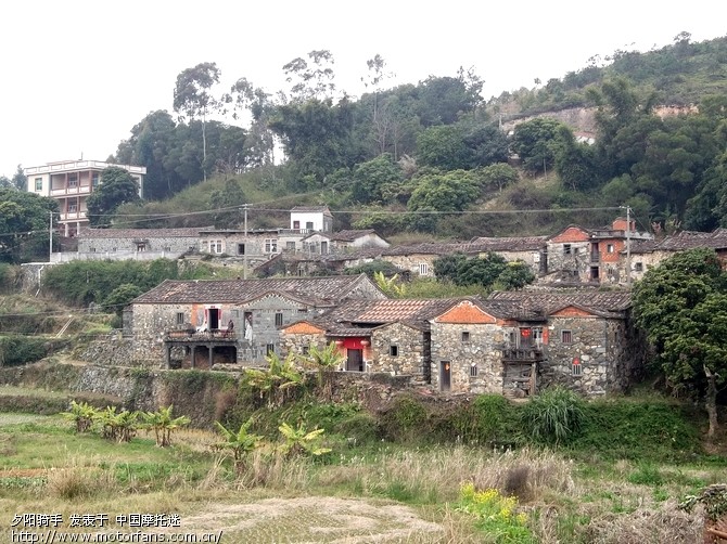受坛里摩友引路,我也去了一趟泉港樟脚,油菜花