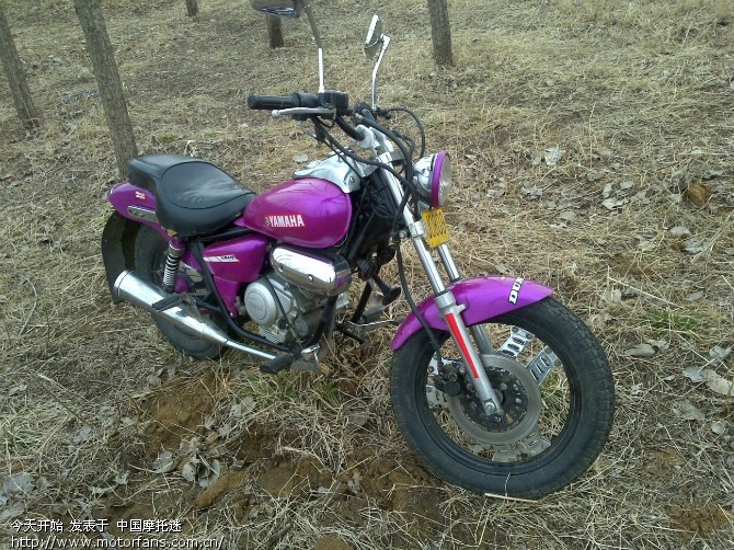 金城100-& 翻新加改立式天剑一代125发动机。