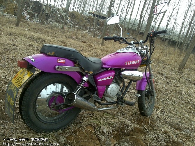 金城100-& 翻新加改立式天剑一代125发动机。