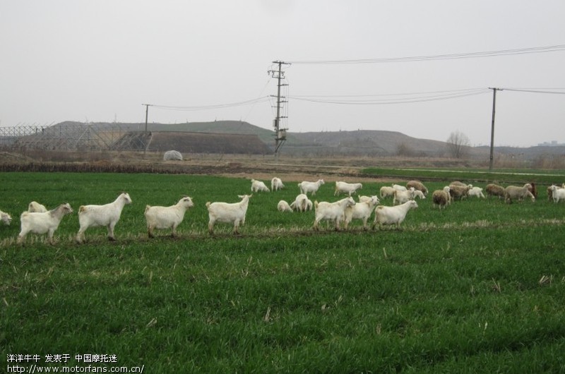 今天下午不下雨小跑一下(嘉定车友小游内有照