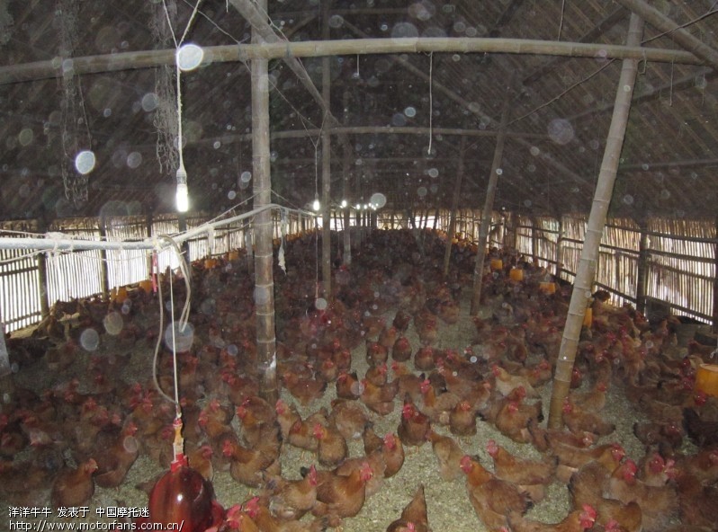 今天下午不下雨小跑一下(嘉定车友小游内有照