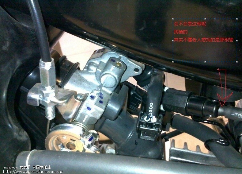 ■新大洲本田电喷SDH110-16(飘悦)交流贴 - 新