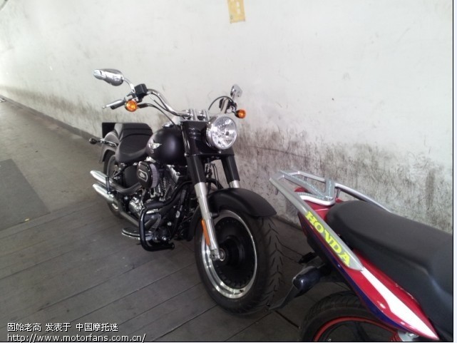 有幸目睹 哈雷 肥仔 肥霸给大家也看看。 - 上海