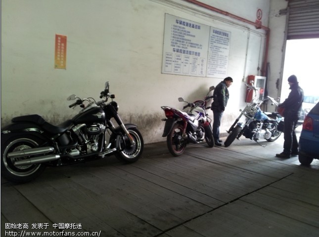 有幸目睹 哈雷 肥仔 肥霸给大家也看看。 - 上海