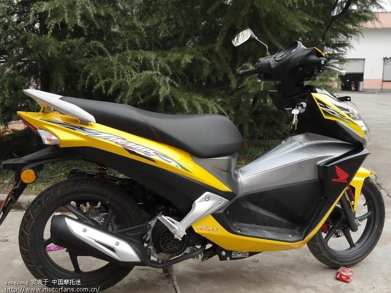 海南文昌弯刀提车 - 踏板论坛 - 五羊本田踏板专