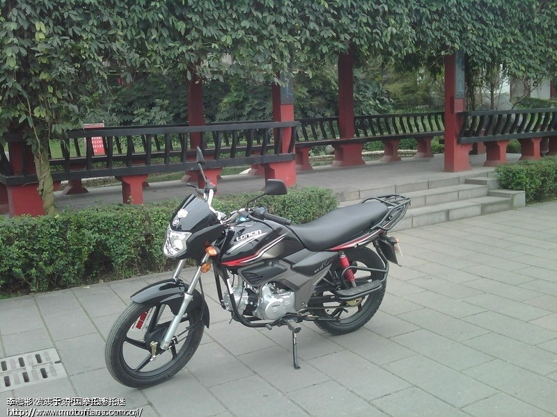 lx110-36福悦怎样?什么价格 油耗多少 摩托车