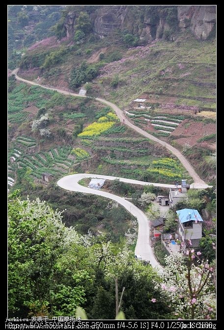 馿行 万州 系列六部曲 ,江南新区大河梨园, 密溪高清图片