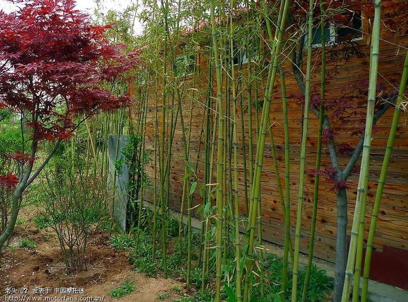 (周日)协会骑行中手势、队列训练及近郊地带春