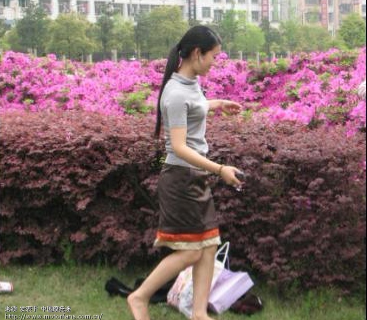 采花姑娘 - 摄影论坛 - 摩托车论坛 - 中国第一摩