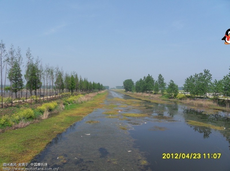 洪泽湖湿地公园25日前免门票游玩,周边车友有