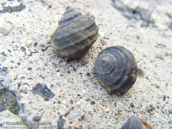 海滨行 淄博-青州-潍坊-莱州-龙口-南山-蓬莱-莱