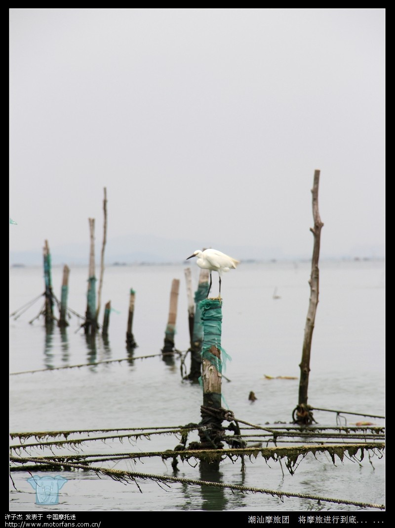 5.1相聚潮州凤凰洲 活动圆满结束 用图片代表语