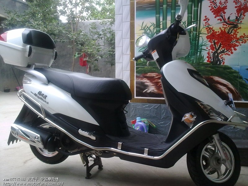 想买新海王星,有几个问题请教 - 踏板论坛 - 铃木