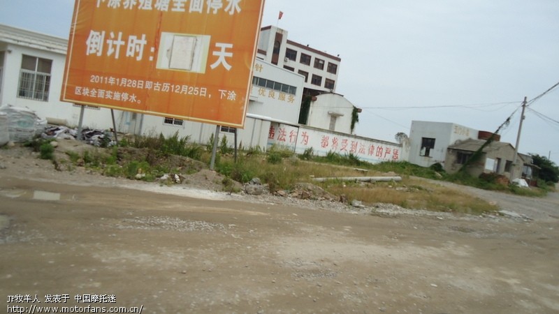 第一次发帖 星期天去海边抓海螺 - 浙江摩友交