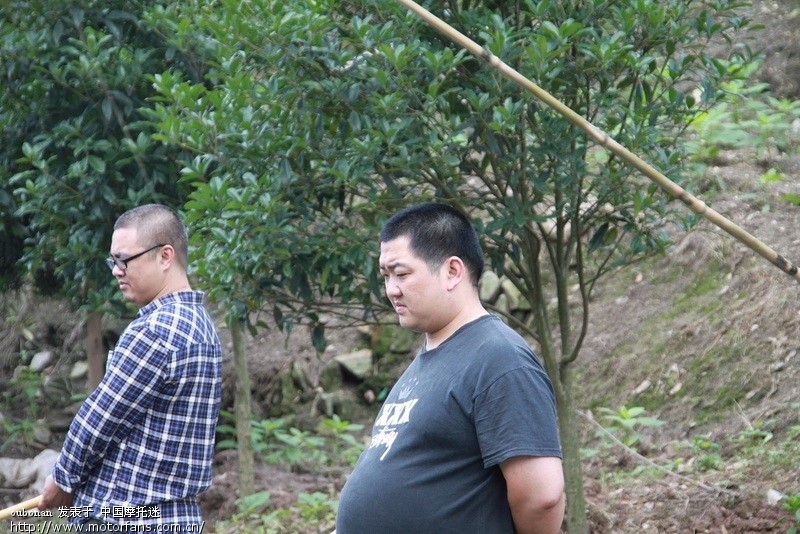 中华鲟,你们吃过没得,我反正是吃过了,哈哈!(9骑