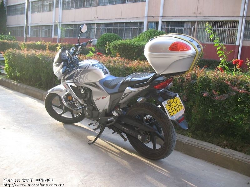 战神装后货架和尾箱 - 摩迷交易区 - 胖子装备摩