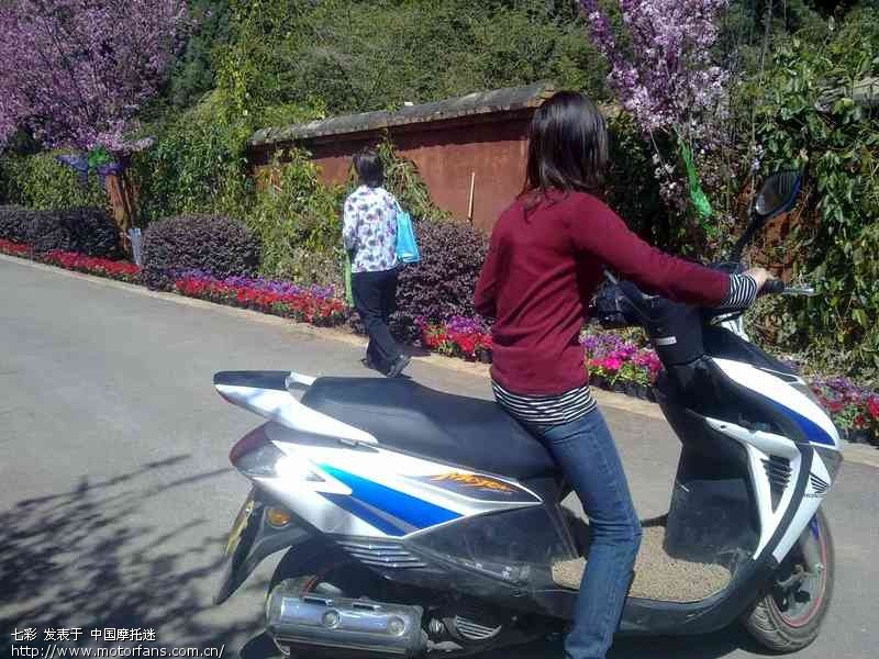 魔戟油耗发贴 - 踏板论坛 - 新大洲本田踏板专区