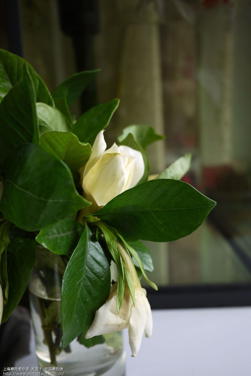 据说,松下GF2加饼干头 轻便且画质好 适合摩游