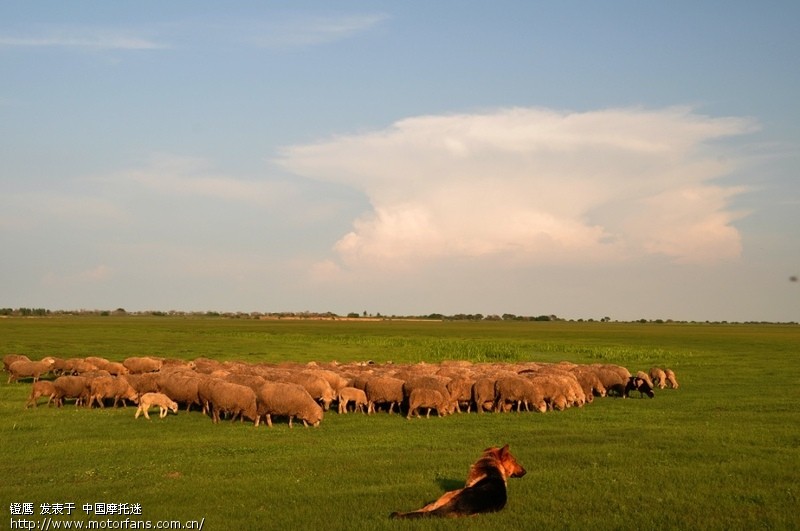 和蹬鹰凯旋卧牛吐采风 - 黑龙江摩友交流区 - 摩