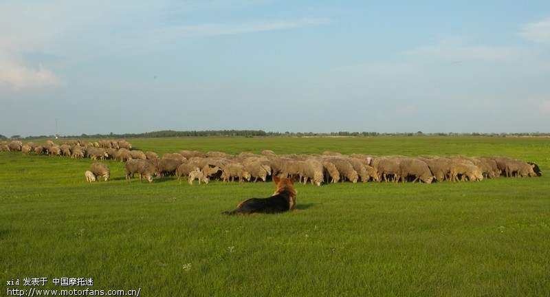 和蹬鹰凯旋卧牛吐采风 - 黑龙江摩友交流区 - 摩