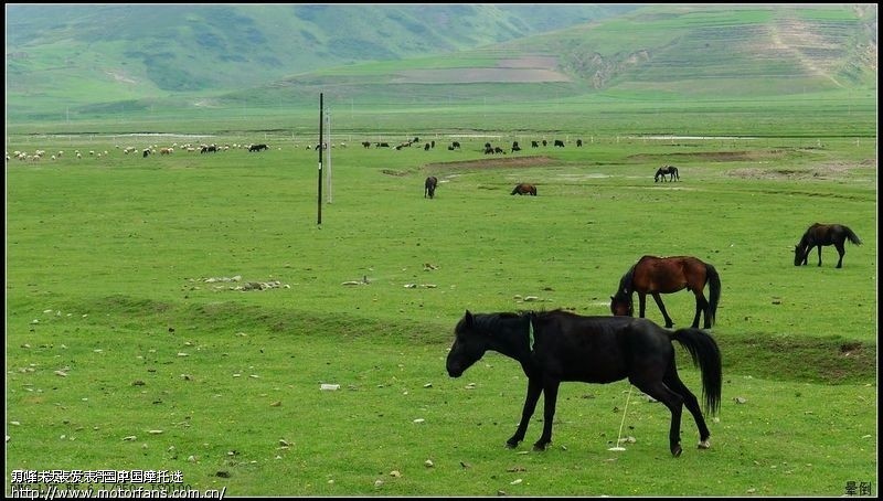 大家都在淘宝哪家店买威爽圣科啊、、急急 - 五