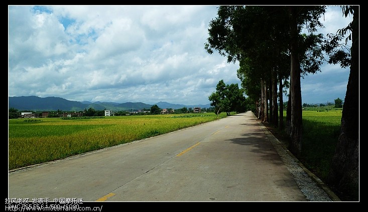老男孩的大玩具系列:山路弯弯走睾丸(更新在第