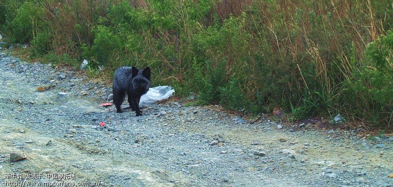 北京爷们招人凡的孩子单人踏板进藏,兄弟感觉