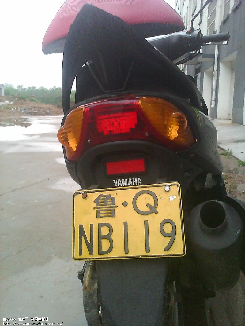 请老师们看看是真福喜还是高仿的 - 踏板论坛 