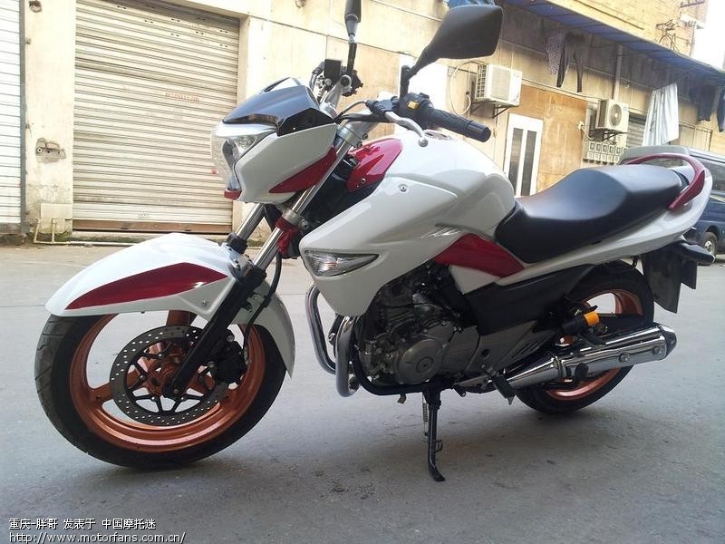 白红色GW - 豪爵铃木 - 骊驰GW250 - 摩托车论