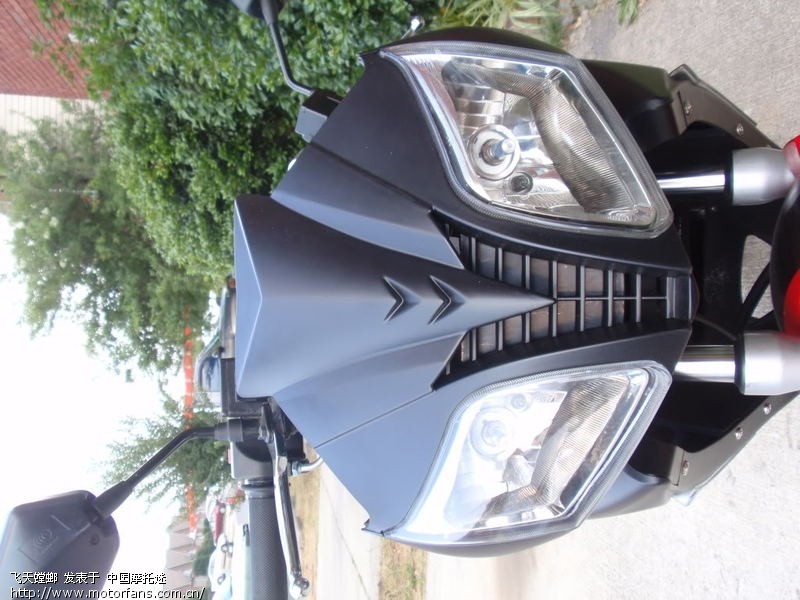 国外很火的一种小踏板──雷克! - 其他国产品