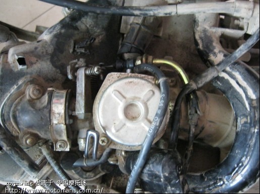 新手拆悦星,放油螺丝拧不动! - 踏板论坛 - 铃木