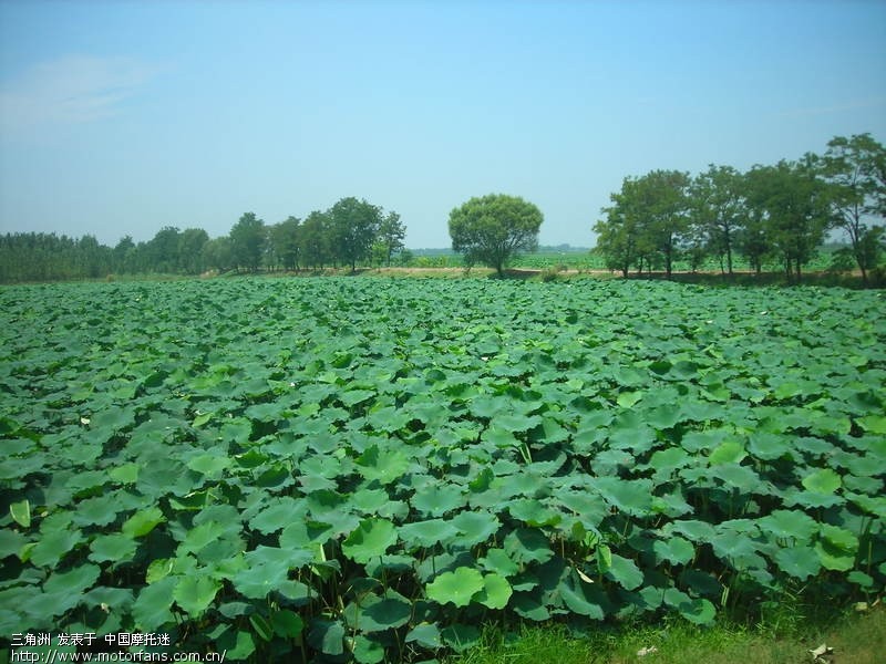 星期日的摩游(摩托车没买保险,交警查到就扣车