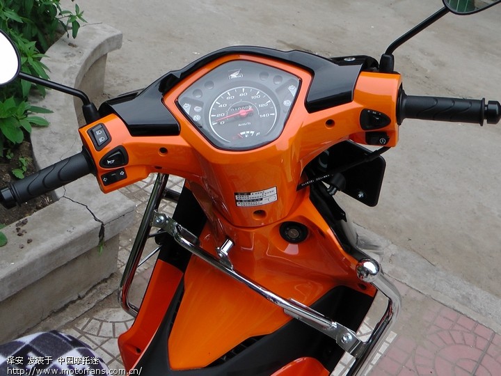 新购新大洲本田飘悦 - 弯梁世界 - 新大洲本田弯