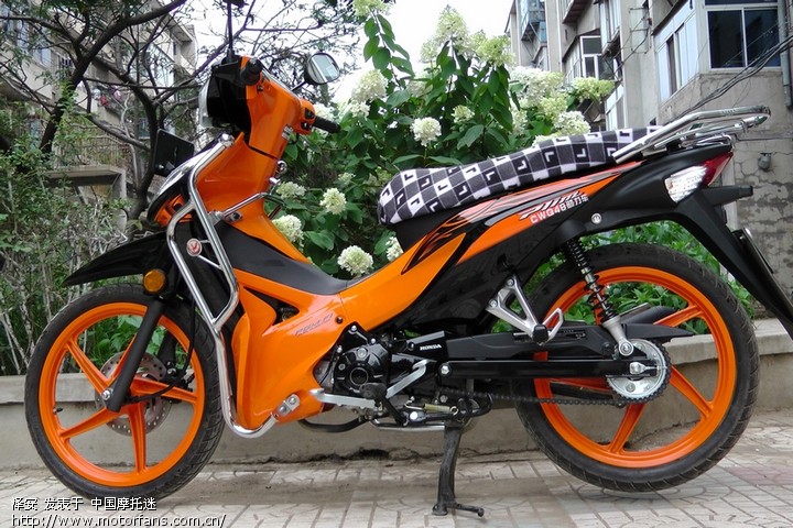 新购新大洲本田飘悦 - 弯梁世界 - 新大洲本田弯