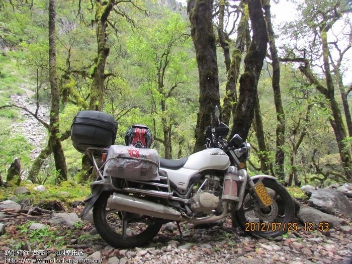 新人请教下各位前辈:进藏车,CBX150和威领15