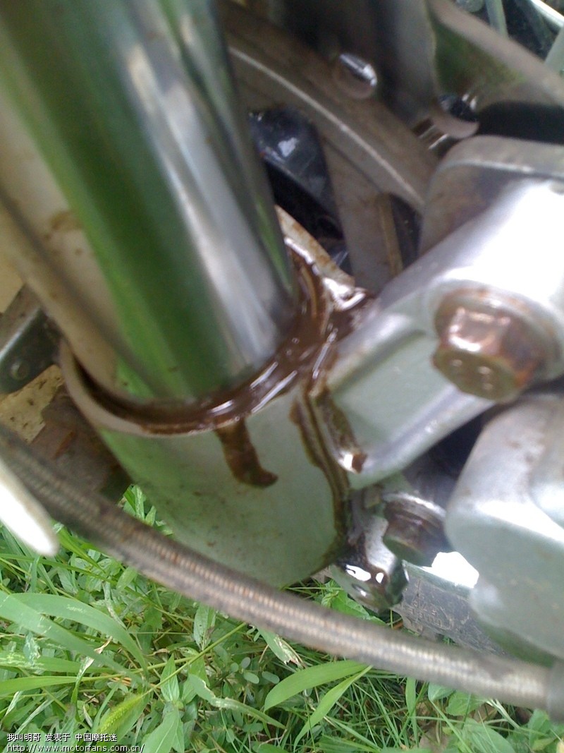 求救贴,白菜倒减漏油了,有大图,有福利, - 激情越