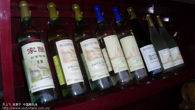 锚湾、兴城、昌黎葡萄沟4日游归来。 - 北京摩