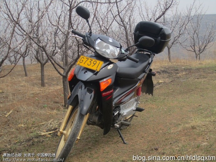 赛弛发动机塔塔声 - 弯梁世界 - 济南铃木弯梁摩