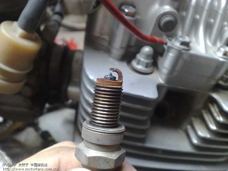 缸盖漏油,看着烦人,保养机器! - 维修改装 - 摩托