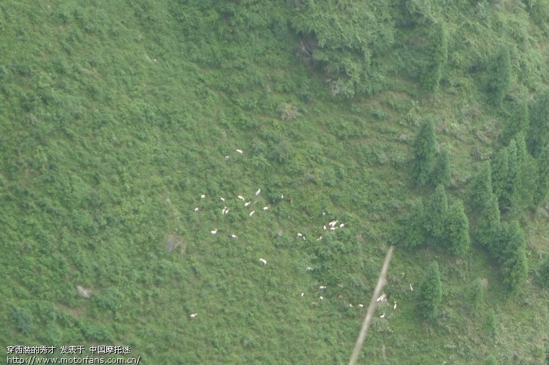 重庆友情摩友会9月8日南川压弯 风吹岭纵情之