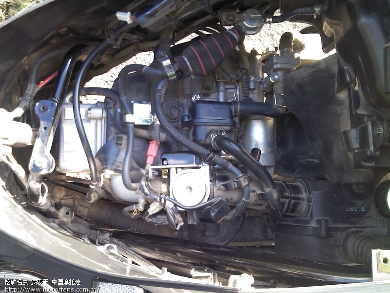 海王星化油器版 是NGK火花塞 - 豪爵铃木-踏板