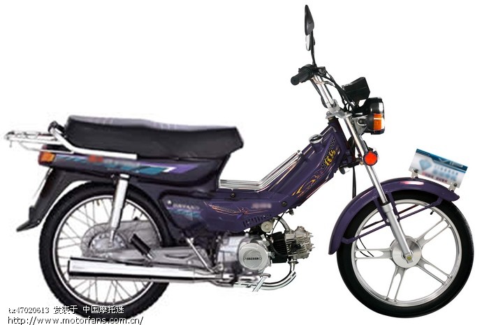 那个品牌的狗儿车好- 弯梁世界- 摩托车论坛- 中