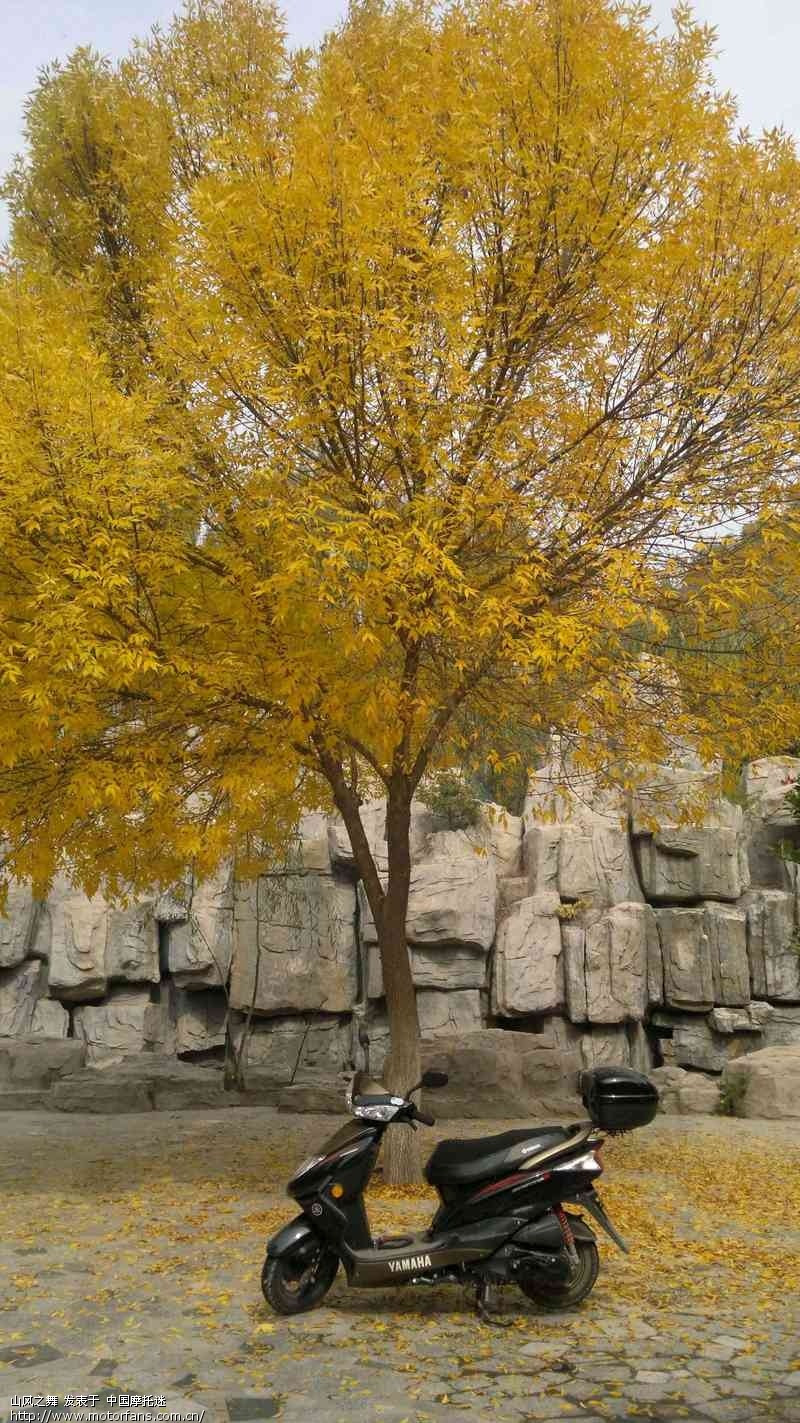 雅马哈讯鹰125CC---1公里---1111公里 - 踏板论