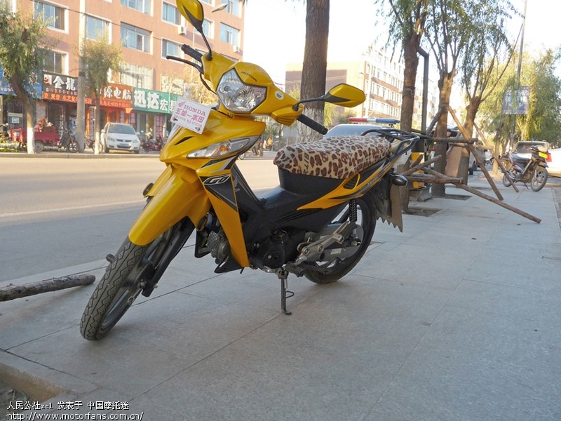 新锋驰 是机油加多了引起的渗油吗? - 弯梁世界