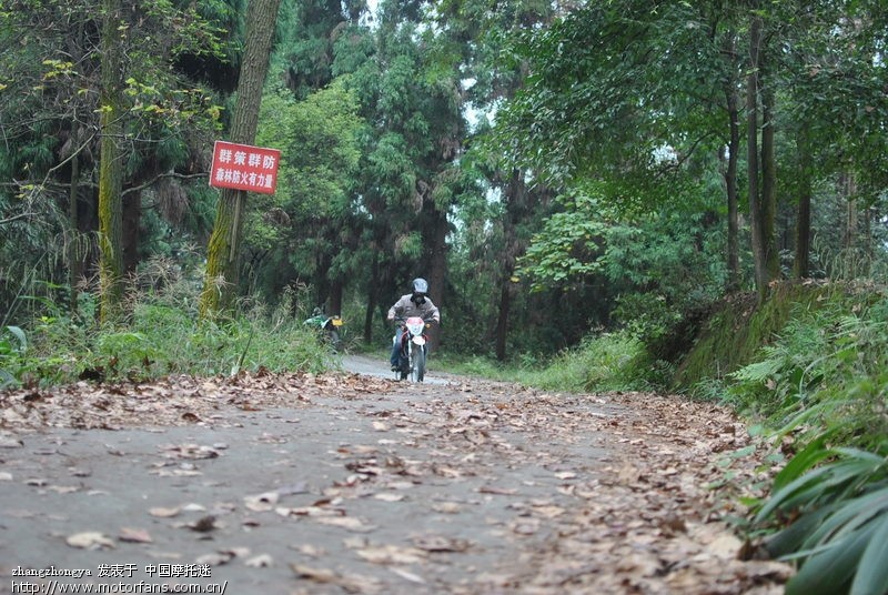 荣昌三层岩 岚枫森林公园 道林沟 清升(越野林